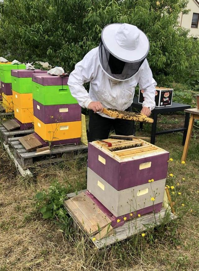 Imker bei der Arbeit / Foto: Sebastian Beringer