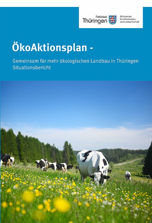 Deckblatt der Broschüre ÖkoAktionsplan Situationsbericht