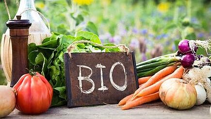 Tafel mit Aufschrift Bio und Gemüse im Hintergrund