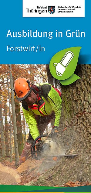 Cover_Flyer Ausbildung in Grün. Forstwirt/in