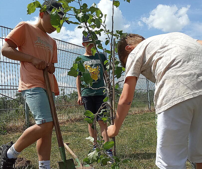 Kinder pflanzen Bäume