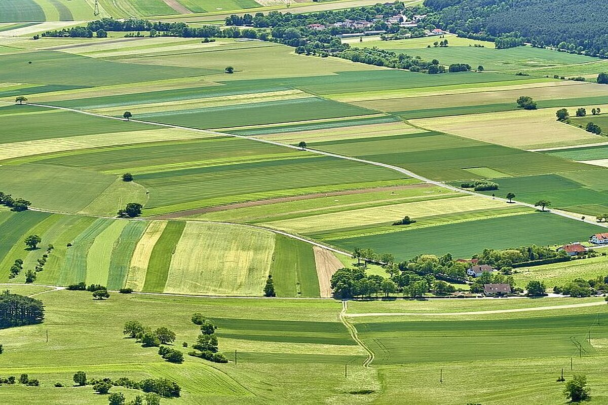 Landwirtschaftliche Nutzflächen (Foto Adobe Stock)