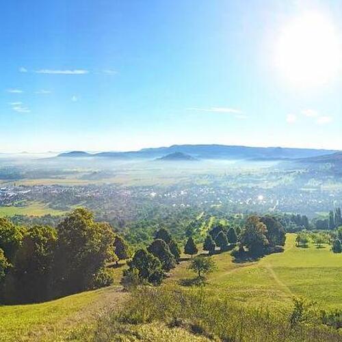 bergiges Grünland mit Ausblick in die Ferne