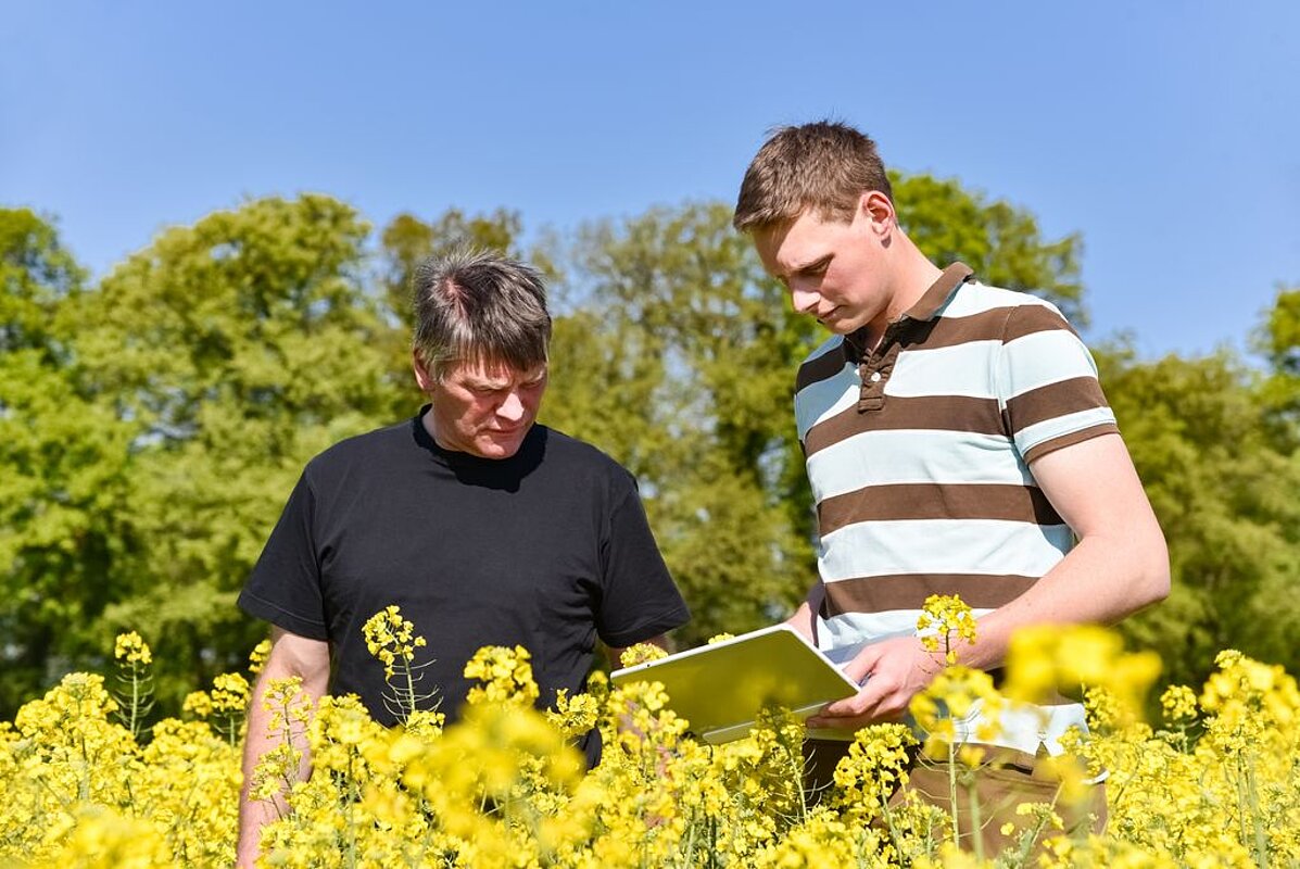 Ein junger und ein älterer Landwirt stehen im gelben Rapsfeld. Der jüngere Landwirt hält einen Laptop in der Hand.