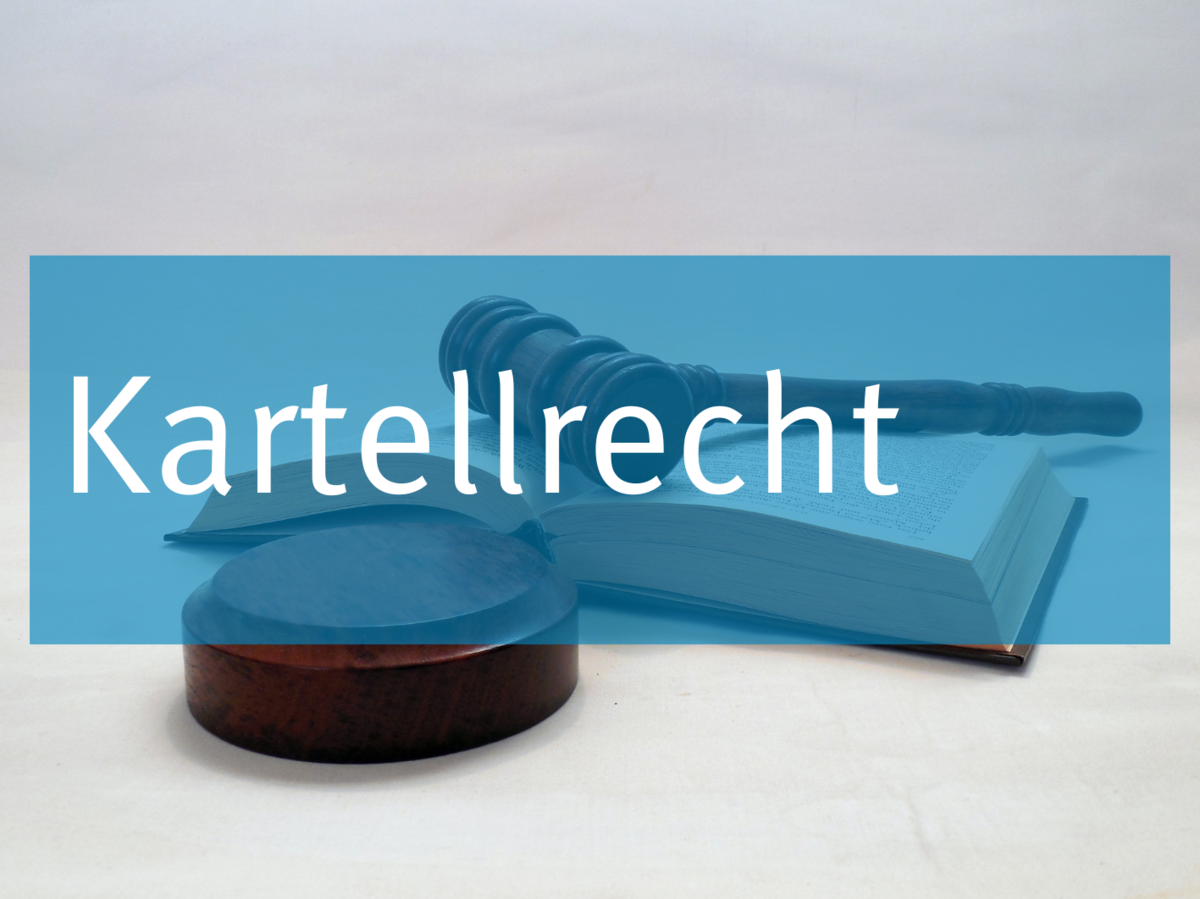 Symbolbild Kartellrecht: Ein Richterhammer liegt auf einem aufgeschlagenen Buch neben einem Resonanzblock.