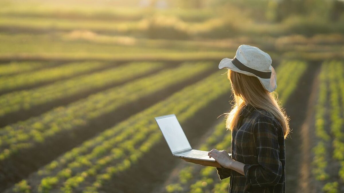 Frau mit Laptop auf Feld Farmerin auf Feld
