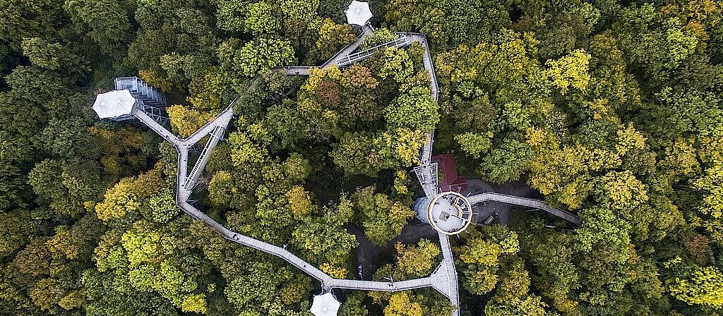 Baumkronenpfad im Nationalpark Hainich