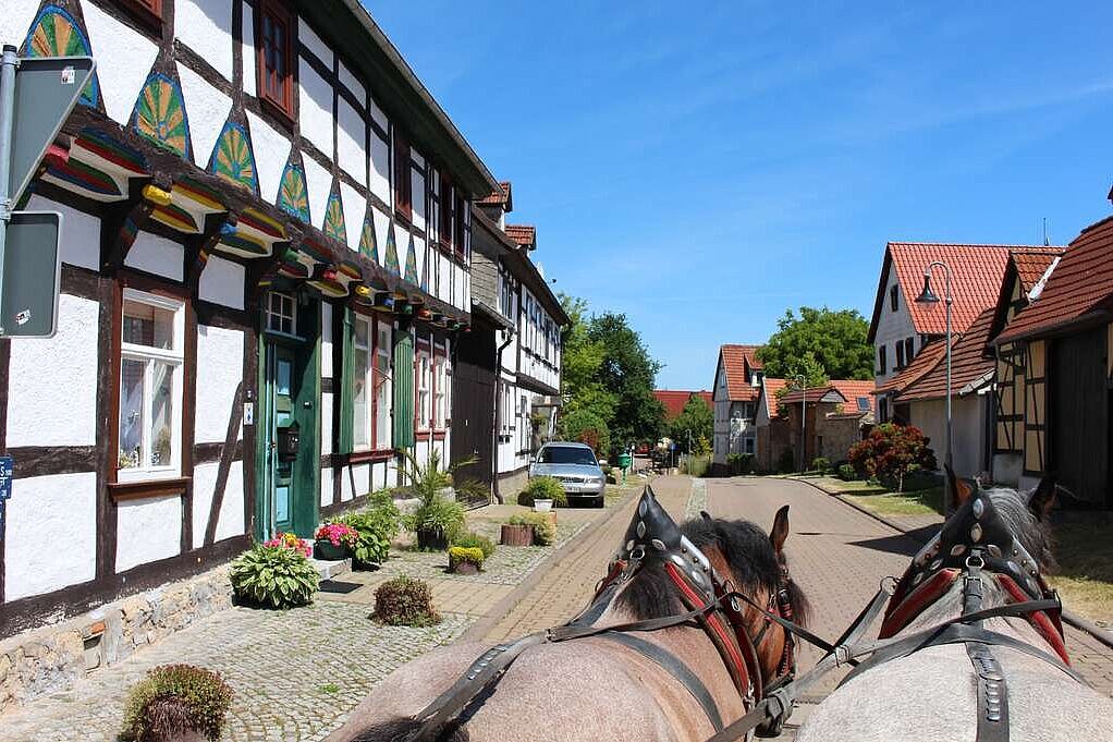 Foto: Obergebra (© Michael Randel)